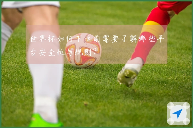 世界杯如何下注前需要了解哪些平台安全性与规则？