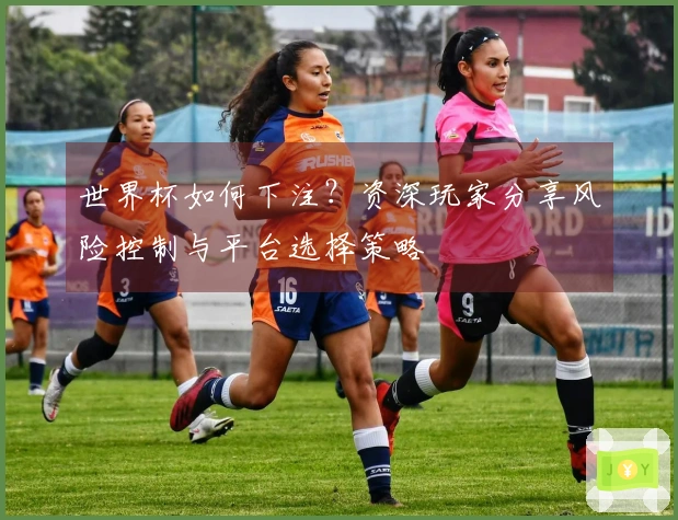 世界杯如何下注？资深玩家分享风险控制与平台选择策略