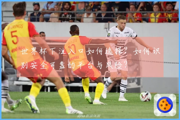 世界杯下注入口如何选择？如何识别安全可靠的平台与风险？