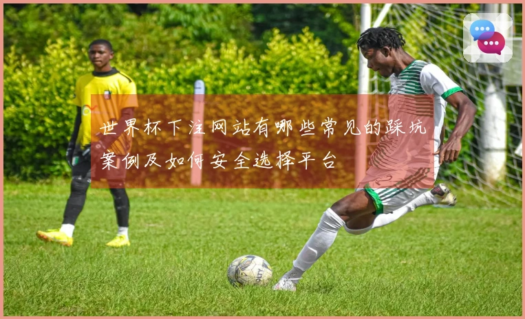 世界杯下注网站有哪些常见的踩坑案例及如何安全选择平台