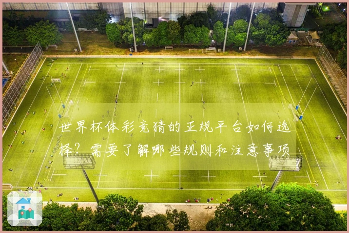 世界杯体彩竞猜的正规平台如何选择？需要了解哪些规则和注意事项？