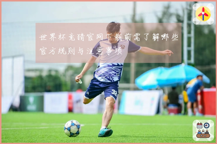 世界杯竞猜官网下载前需了解哪些官方规则与注意事项