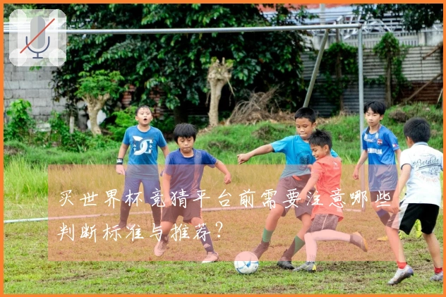 买世界杯竞猜平台前需要注意哪些判断标准与推荐？