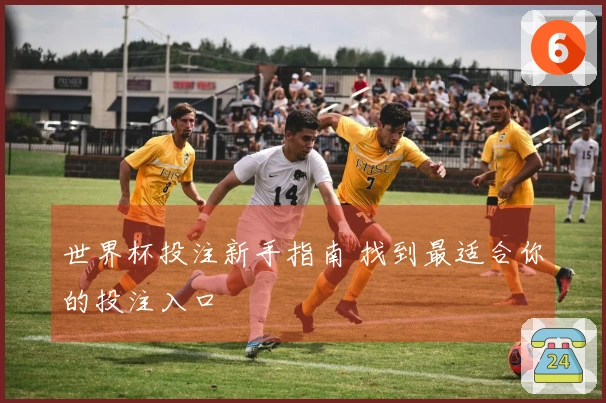 世界杯投注新手指南 找到最适合你的投注入口