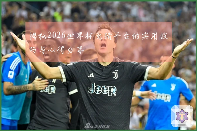 揭秘2026世界杯竞猜平台的实用技巧与心得分享