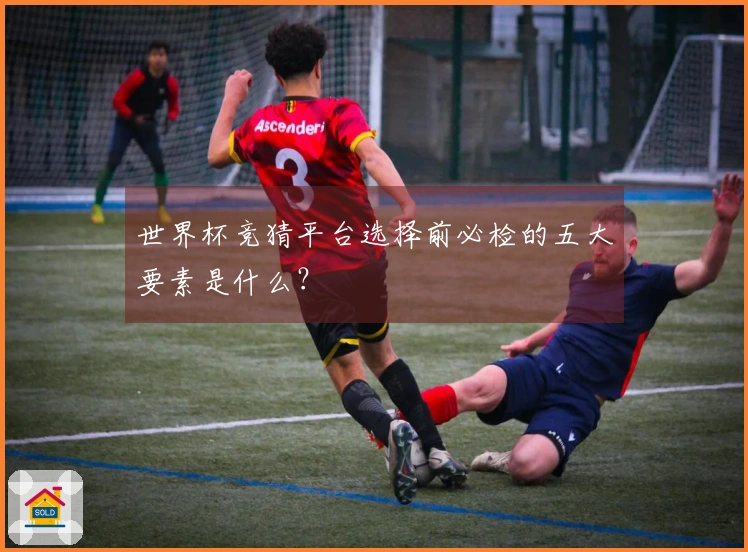 世界杯竞猜平台选择前必检的五大要素是什么？