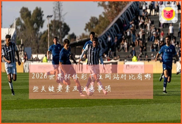 2026世界杯体彩下注网站对比有哪些关键要素及注意事项