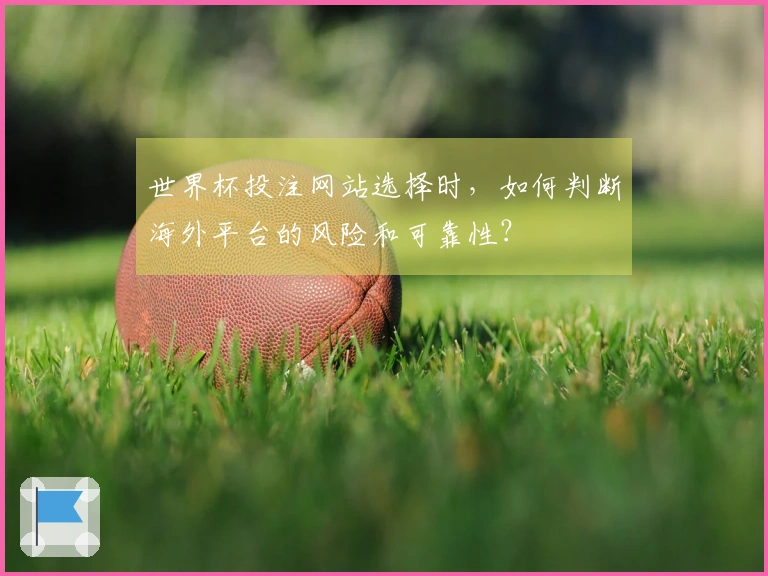 世界杯投注网站选择时，如何判断海外平台的风险和可靠性？