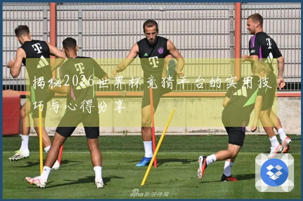 揭秘2026世界杯竞猜平台的实用技巧与心得分享