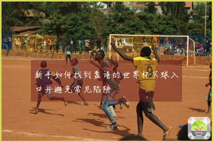 新手如何找到靠谱的世界杯买球入口并避免常见陷阱